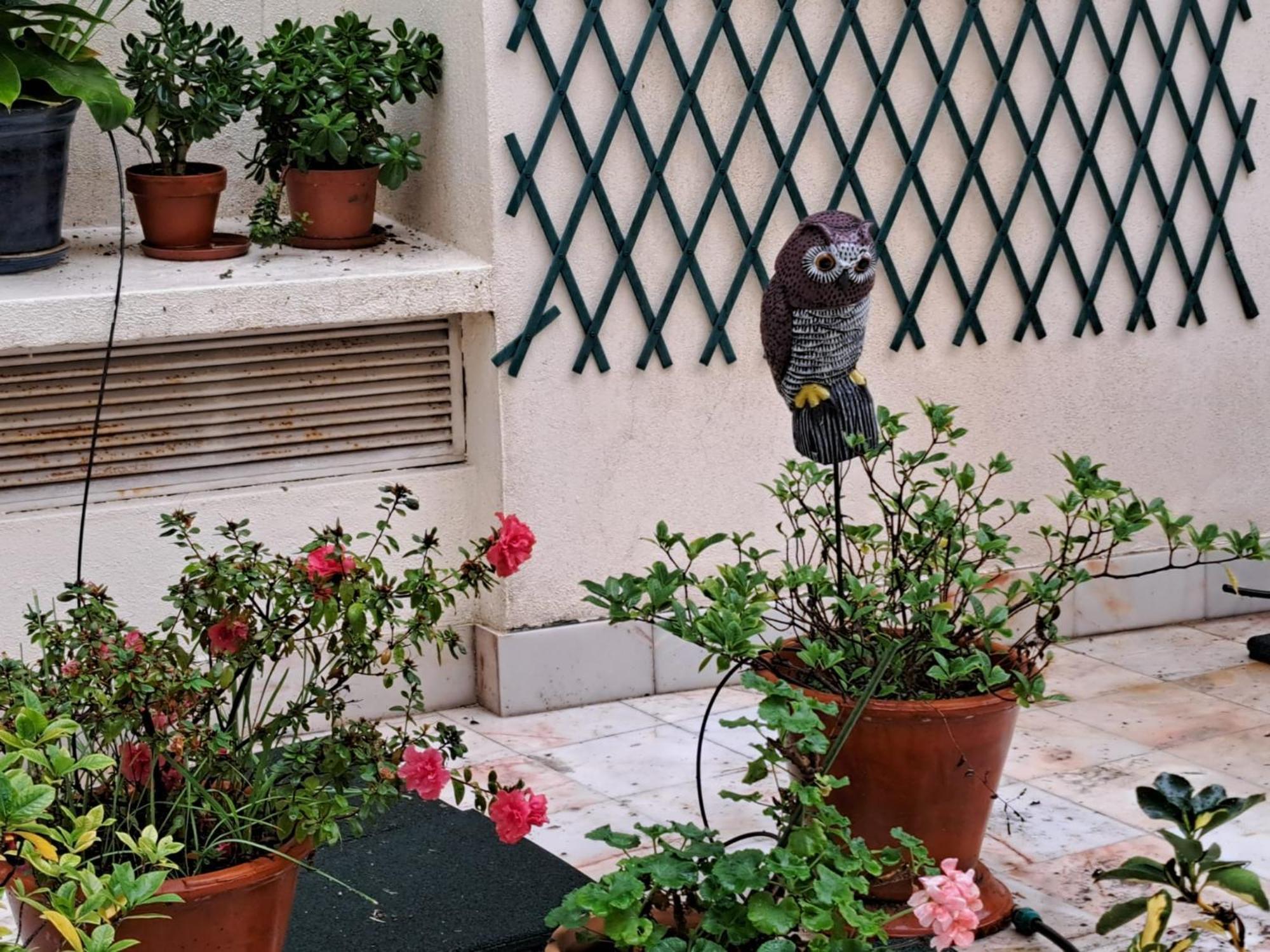 Sunny Green Terrace Apartment Lisbon Exterior photo